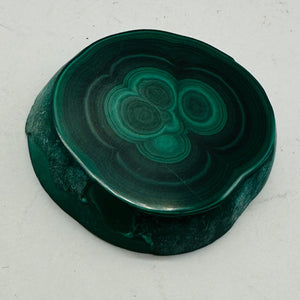 Malachite 36g Polished Round Stalactite Slice | 43x3=x8mm | Green | 1 Specimen |