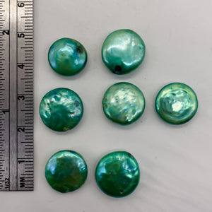 Green Wave 12 to 13mm Freshwater Coin Pearl 8 inch Strand 9442HS