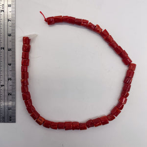 Natural AAA Red Coral Branch Bead Strand | 4x6mm | 44 Beads |