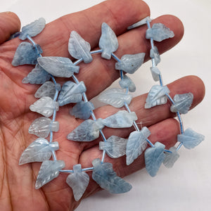 Natural Aquamarine Leaf Bead Strand | 145cts | 22x10x5 - 16x10x4mm | 35 Beads |