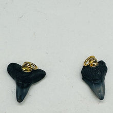 Load image into Gallery viewer, Shark Teeth Natural Pendants | 1&quot; Long | Grey, White | 2 Pendants |
