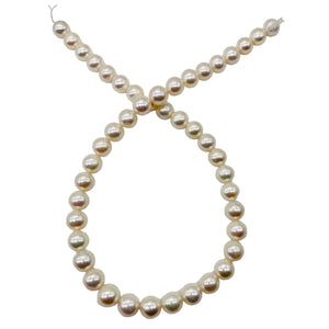 Bridal Perfect Pearl Strand Perfect Round Pearls | 10 - 9mm | White | 45 Pearls|