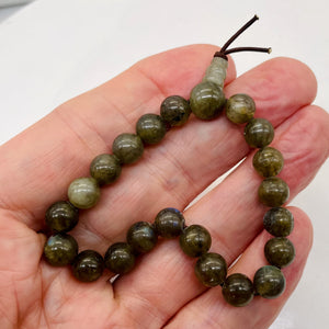 Labradorite Strung Round Bead 7" Strand | 8mm | Gray Blue | 21 Beads |