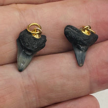 Load image into Gallery viewer, Shark Teeth Natural Pendants | 1&quot; Long | Grey, White | 2 Pendants |

