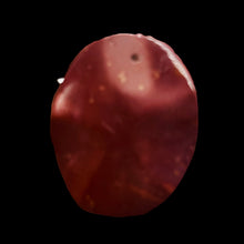 Load image into Gallery viewer, Marscape! Mookaite Large Oval Pendant Bead | 50x40x6mm |
