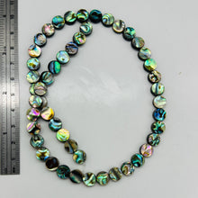 Load image into Gallery viewer, Natural Abalone Shell Coin Bead 16 inch Strand | 8x3mm | Multi-hue |  Bead(s)

