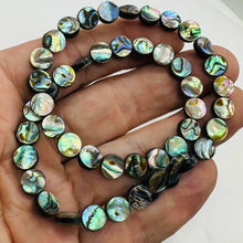 Load image into Gallery viewer, Natural Abalone Shell Coin Bead 16 inch Strand | 8x3mm | Multi-hue |  Bead(s)
