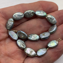 Load image into Gallery viewer, Platinum Green Oval Coin Pearl 8&quot; Strand 9948HS

