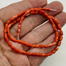 Load image into Gallery viewer, Coral Oval Graduated Beads Strand | 16&quot; Long | 8x4 to 6x3mm | Red | 1 Strand |
