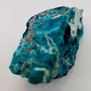 Chrysocolla Natural Display Specimen | 22g | 44x23x22mm | Deep Turquoise | 1 |