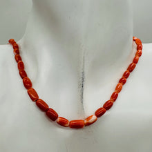 Load image into Gallery viewer, Coral Oval Graduated Beads Strand | 16&quot; Long | 8x4 to 6x3mm | Red | 1 Strand |
