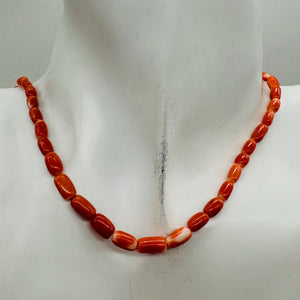 Coral Oval Graduated Beads Strand | 16" Long | 8x4 to 6x3mm | Red | 1 Strand |