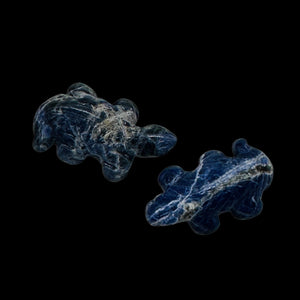 2 Carved Snappy Sodalite Lizard Beads | 27x15x7mm | Blue white