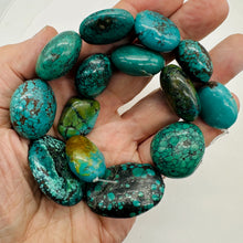Load image into Gallery viewer, Turquoise Natural Focal Nugget Bead Strand | 181g | 16&quot; | Blue, Black| 14 Strand
