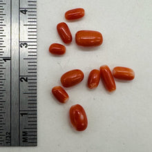 Load image into Gallery viewer, Coral Oval Graduated Beads Parcel | 20 Beads | 8x4 to 6x3mm | Red |
