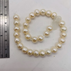 6.5 x 7mm Cream White FW Pearl 8 inch Strand 001304HS