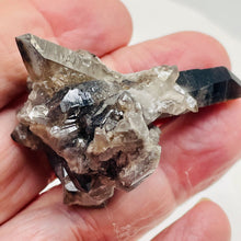 Load image into Gallery viewer, Smoky Quartz Crystal Cluster 29g Natural Display Specimen| 55x38x35mm| Smoky | 1
