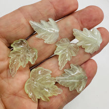 Load image into Gallery viewer, New Jade Carved Serpentine Leaf Bead Set | 28x23x4 to 23x24x4mm | 6 Beads |

