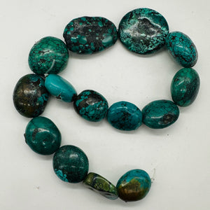 Turquoise Natural Focal Nugget Bead Strand | 181g | 16" | Blue, Black| 14 Strand