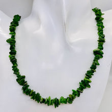 Load image into Gallery viewer, Diopside Strand Chip Bead 32&quot; Strand | 11x8x5 to 7x5x4mm | Green | 200 Beads |
