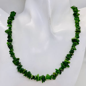 Diopside Strand Chip Bead 32" Strand | 11x8x5 to 7x5x4mm | Green | 200 Beads |