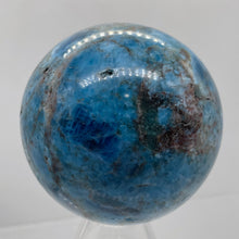 Load image into Gallery viewer, Apatite 366g Meditation Sphere | 2.44&quot; | 61mm | Blue, White | 1 Display Specimen
