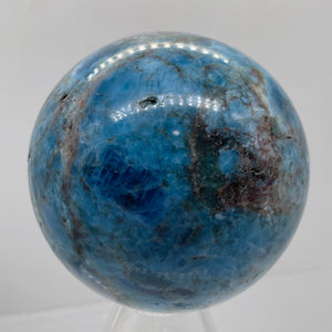 Apatite 366g Meditation Sphere | 2.44" | 61mm | Blue, White | 1 Display Specimen