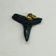 Load image into Gallery viewer, Shark Teeth Natural Fossilized Pendants | 1&quot; Long | Grey, White | 2 Pendants |
