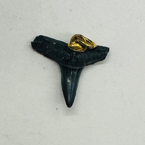 Shark Teeth Natural Fossilized Pendants | 1" Long | Grey, White | 2 Pendants |