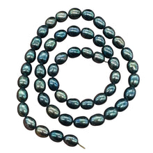 Load image into Gallery viewer, Fresh Water Perfect Beauties Pearl Strand | 8x6mm|Midnight Ocean Blue|50 Pearls|
