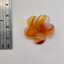 Load image into Gallery viewer, Plumeria! Carved Carnelian Hawaiian Flower Bead | Orange | 25x6mm | 1 Bead |
