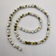 Load image into Gallery viewer, Shiva Shell 16&quot; Strand Heart Cut Beads | 6x3mm | White, Tan | 70 Beads
