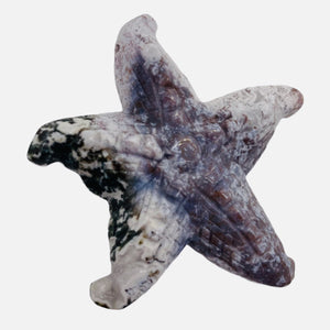 Tree Agate Carved Starfish Pendant Bead | 60x58x11mm | Gray White | 1 Bead |