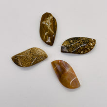 Load image into Gallery viewer, Ocean Jasper Wavy Pendant Beads - Assorted Colors | 31x16x5mm | 4 Beads |
