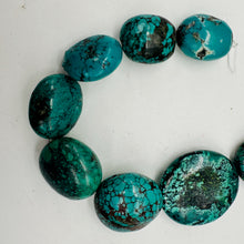 Load image into Gallery viewer, Turquoise Natural Focal Nugget Bead Strand | 181g | 16&quot; | Blue, Black| 14 Strand
