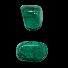 Load image into Gallery viewer, Malachite Polished Gemstone Nugget | 37x25 to 25x17mm|Green| 2 Display Specimen|
