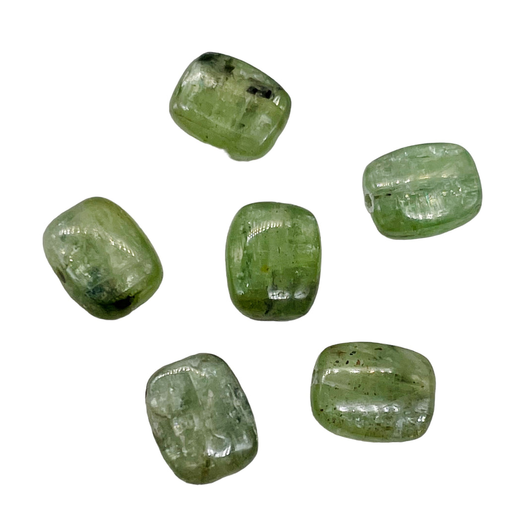 Silver Schiller Kyanite Bead Parcel | 10x8mm | Green Silver | 6 Beads |