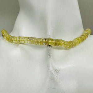 Citrine from Brazil Faceted Rondelle 8* Strand | 6x2mm | Yellow | 85 Beads |