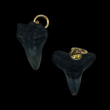 Load image into Gallery viewer, Shark Teeth Natural Pendants | 1&quot; Long | Grey, White | 2 Pendants |
