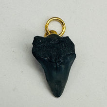 Load image into Gallery viewer, Shark Teeth Natural Pendants | 1&quot; Long | Grey, White | 2 Pendants |
