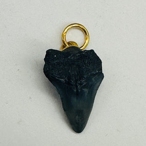Shark Teeth Natural Pendants | 1" Long | Grey, White | 2 Pendants |