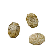 Load image into Gallery viewer, Fab 3 Fossilized Coral Designer Cameo Cut Beads 7384C
