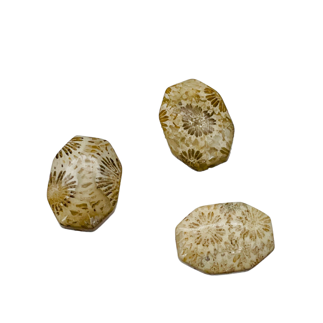 Fab 3 Fossilized Coral Designer Cameo Cut Beads 7384C