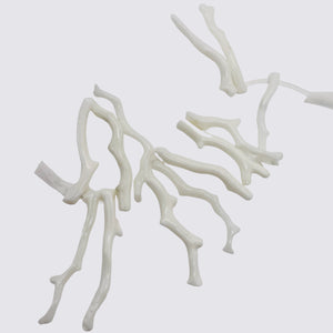 Coral Branch Beads | 37x3 to 30x2mm | White | 14 Beads |