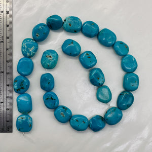 Natural Turquoise Flat, Smooth Nuggety Bead Strand 109352