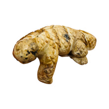 Load image into Gallery viewer, Komodo Lizard Carved Statue | 1 Figurine |
