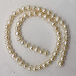 Premium 6.5 x 7mm Cream White FW Pearl Strand 101304