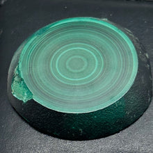 Load image into Gallery viewer, Malachite 351g Polished Round Stalactite Slice | 45x42x7mm | Green | 1 Specimen|
