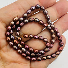 Load image into Gallery viewer, Natural Red Gold Freshwater Pearl Parcel 10 Oval Pearls 6x5mm Jewelry Making
