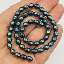 Load image into Gallery viewer, Fresh Water Perfect Beauties Pearl Strand | 8x6mm|Midnight Ocean Blue|50 Pearls|
